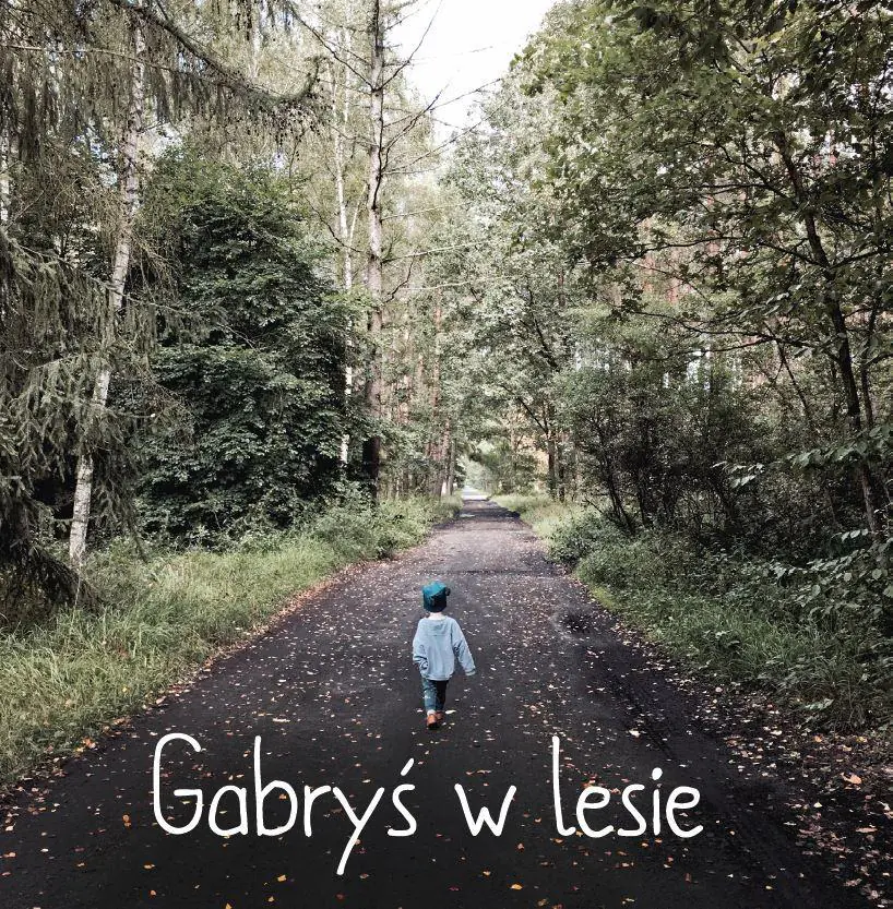 Książka - Gabryś w lesie
