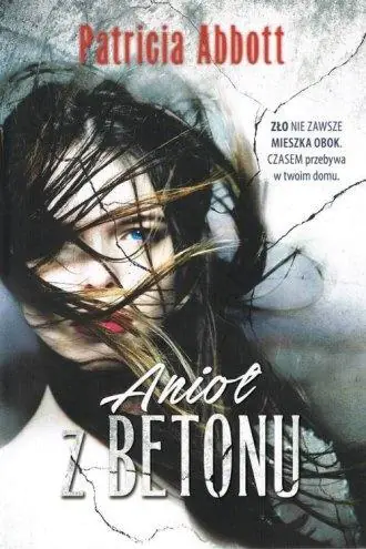 Książka - Anioł z betonu