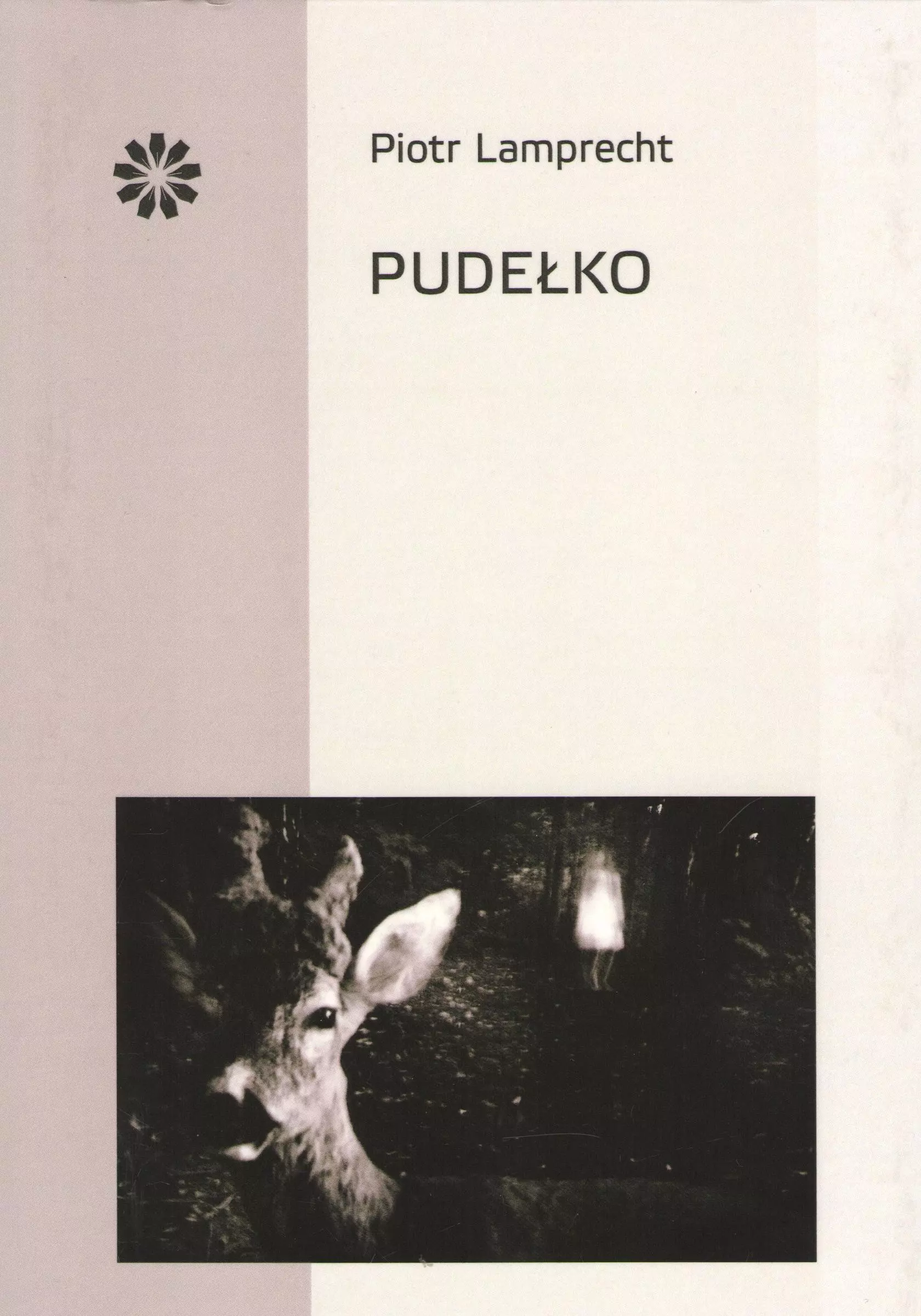 Książka - Pudełko / Stowarzyszenie Pisarzy Polskich