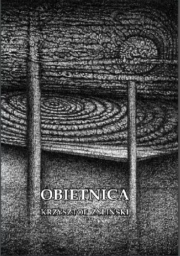 Książka - Obietnica