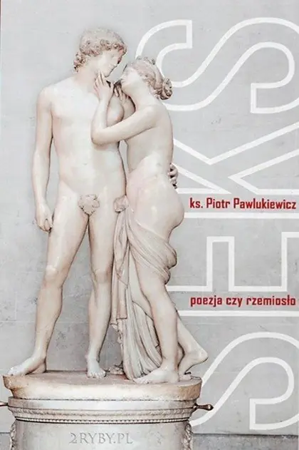 Książka - Seks poezja czy rzemiosło