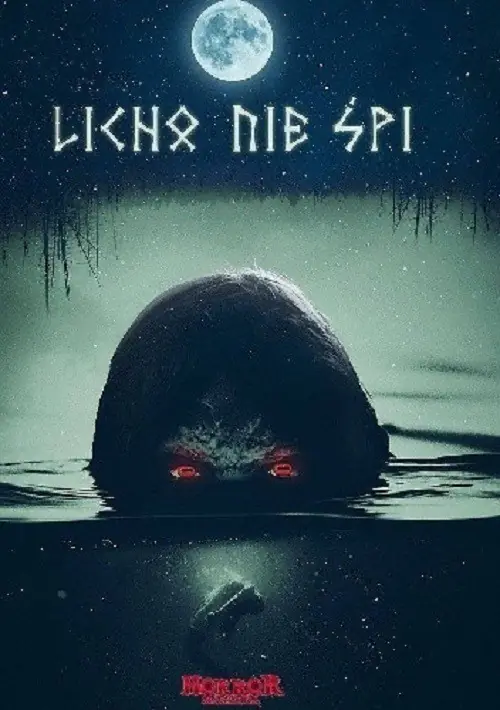 Książka - Licho nie śpi