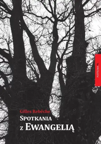 Książka - Spotkania z Ewangelią