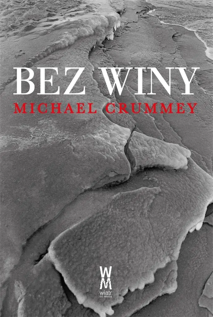 Książka - Bez Winy