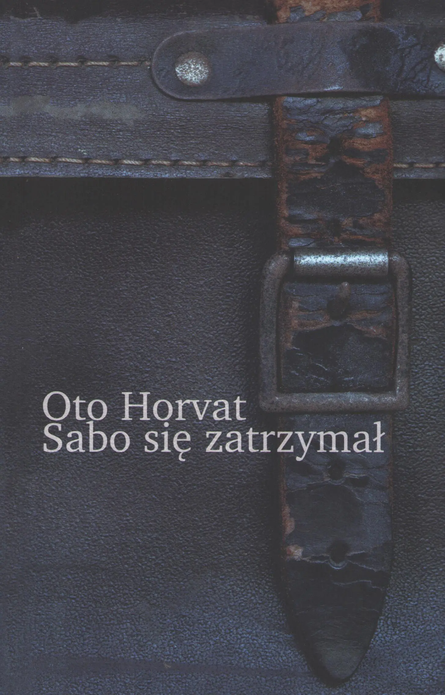 Książka - Sabo się zatrzymał