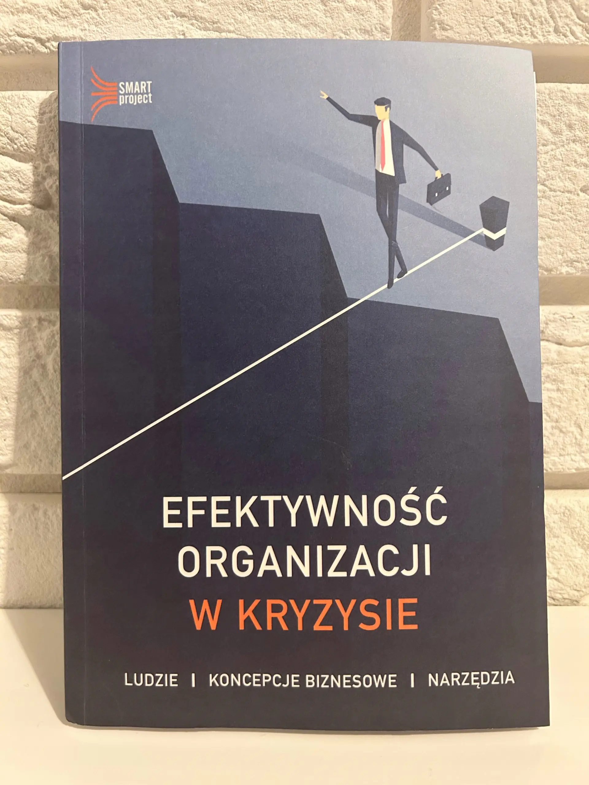 Książka - Efektywność organizacji w kryzysie