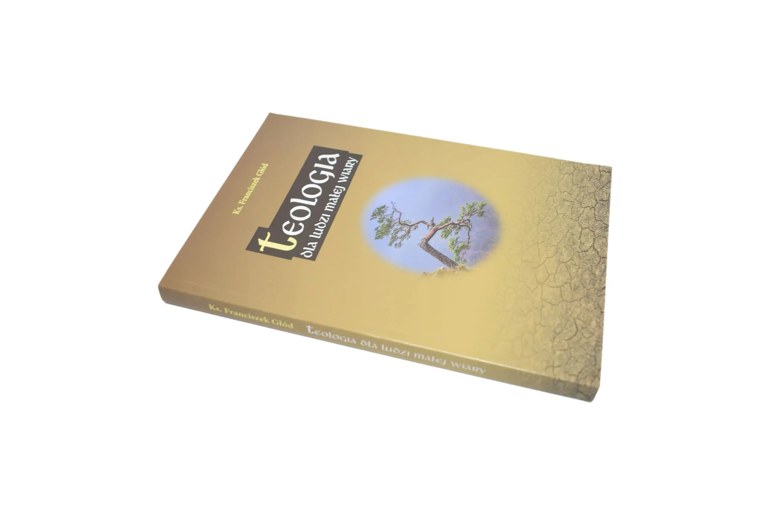 Książka - Teologia dla ludzi małej wiary