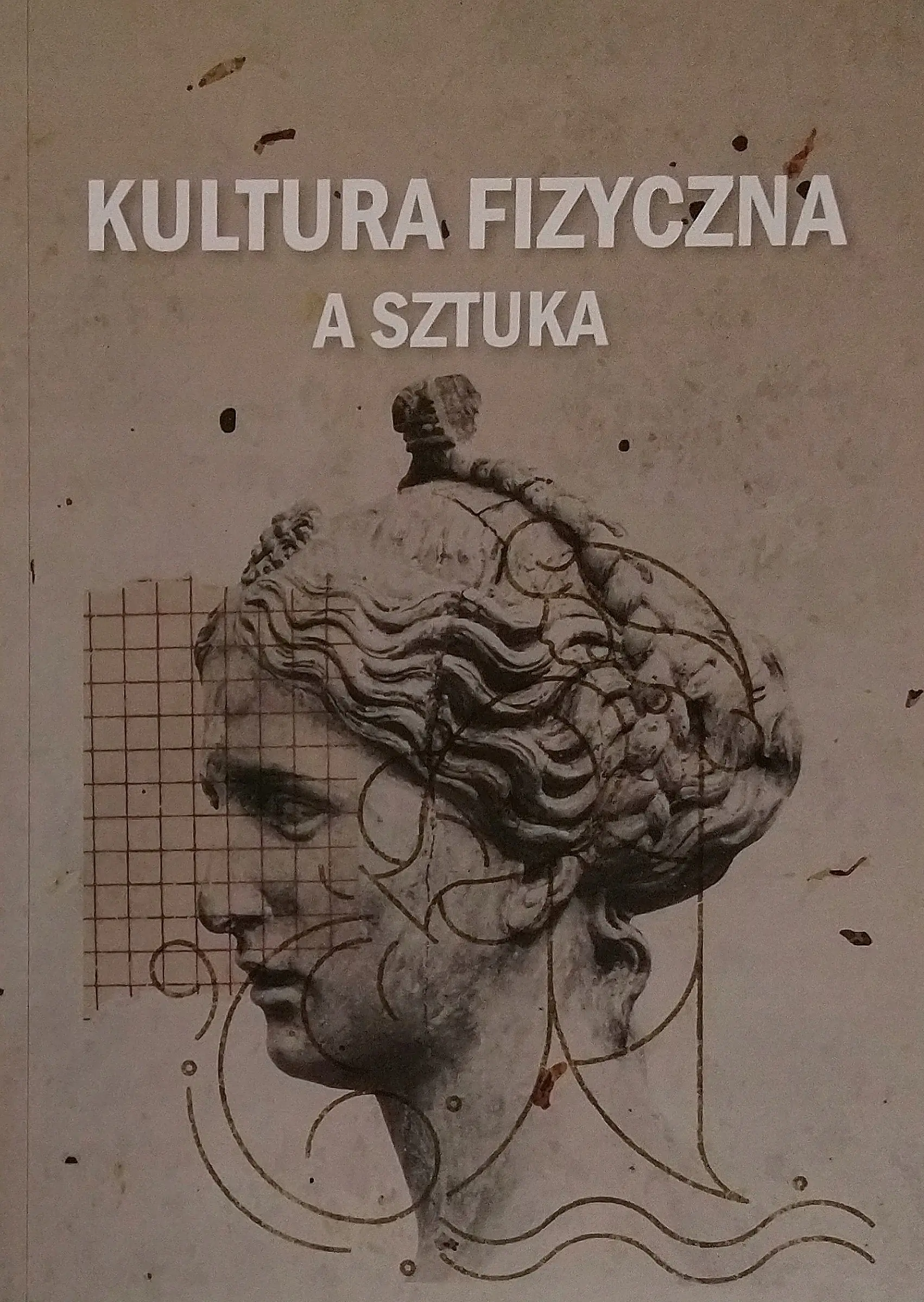 Książka - Kultura fizyczna a sztuka