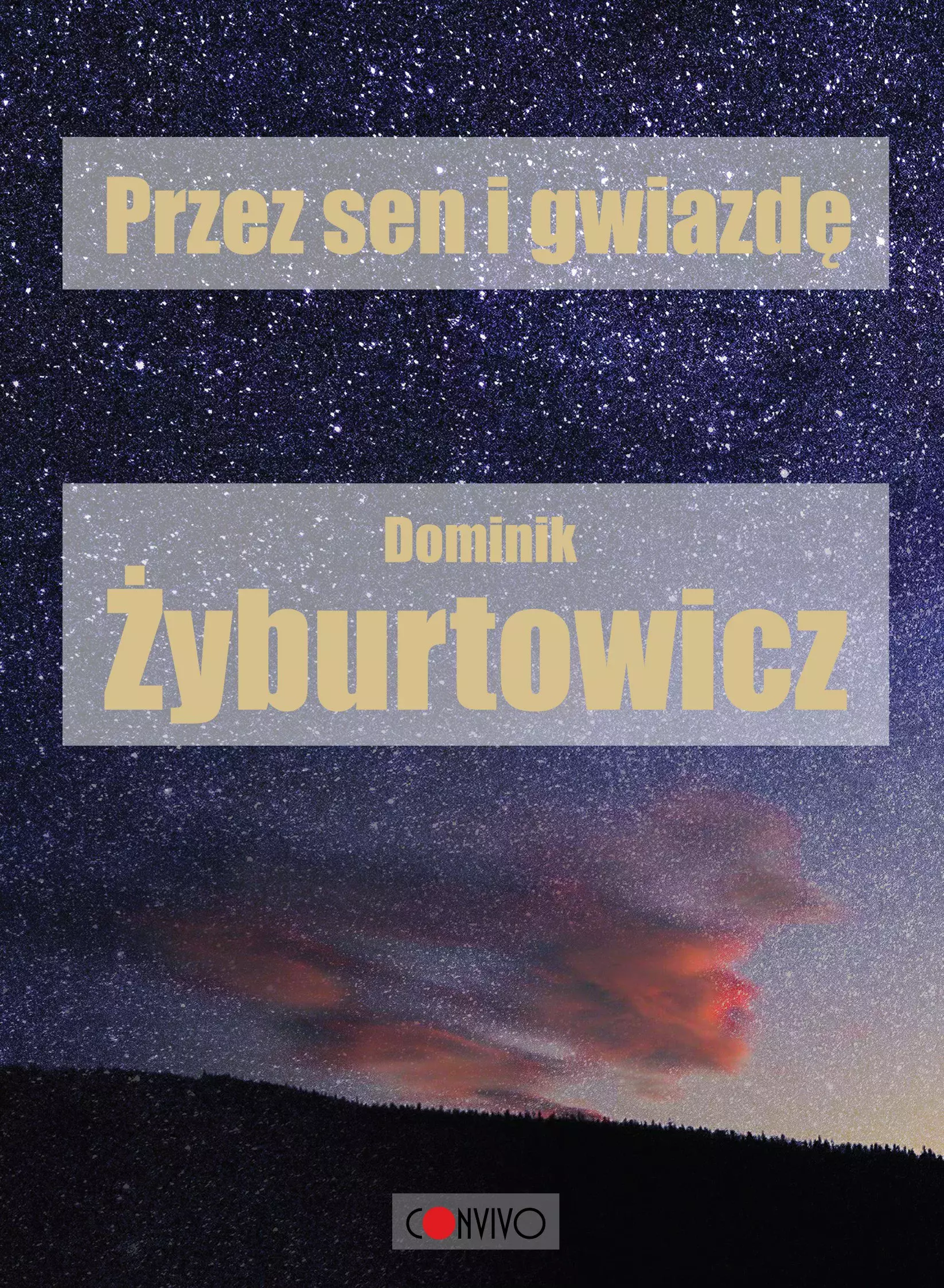 Książka - Przez sen i gwiazdę
