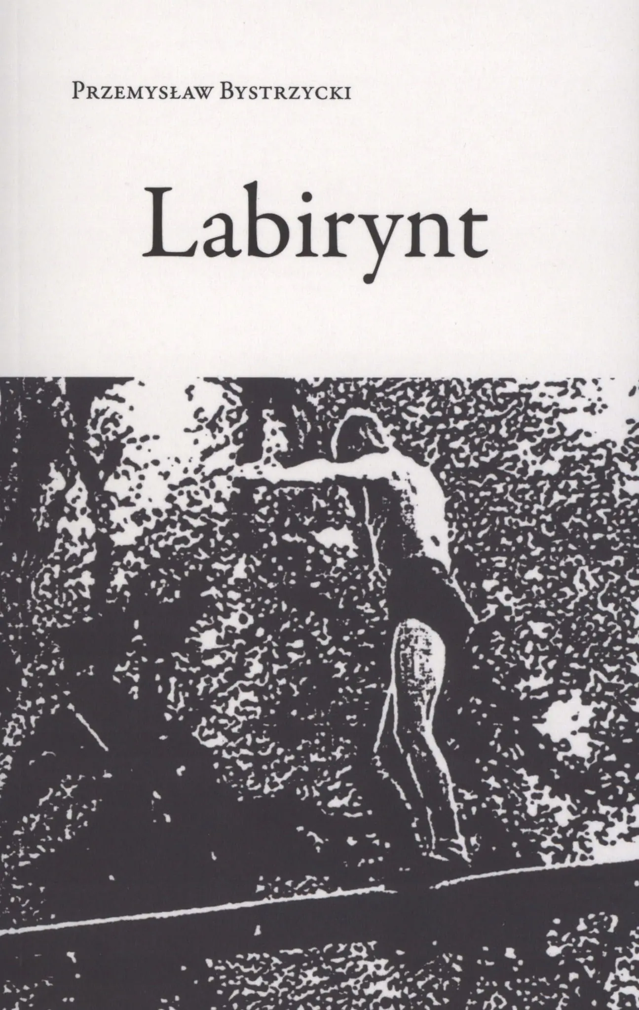 Książka - Labirynt