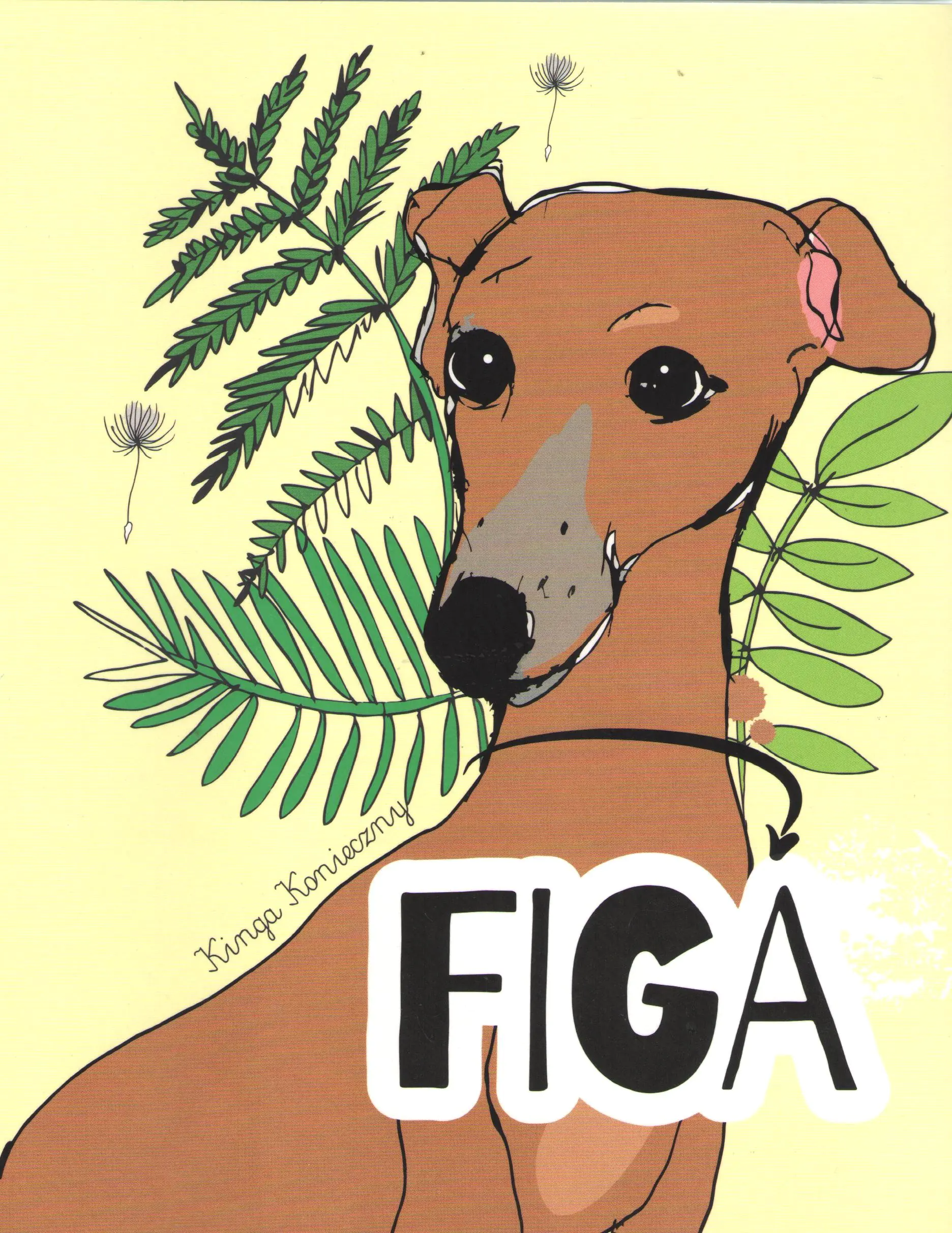 Książka - Figa