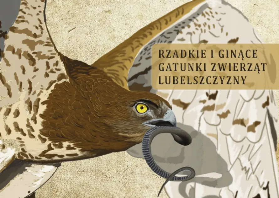 Książka - Rzadkie i ginące gatunki zwierzat lubelszczyzny