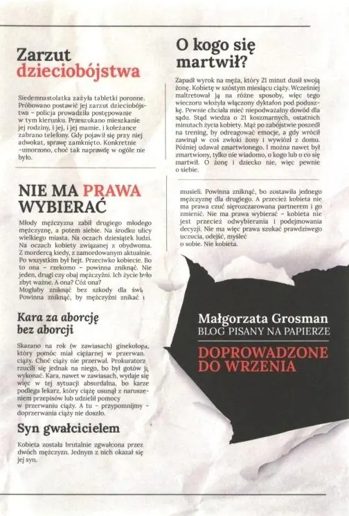 Książka - Doprowadzone do wrzenia. Blog pisany na papierze