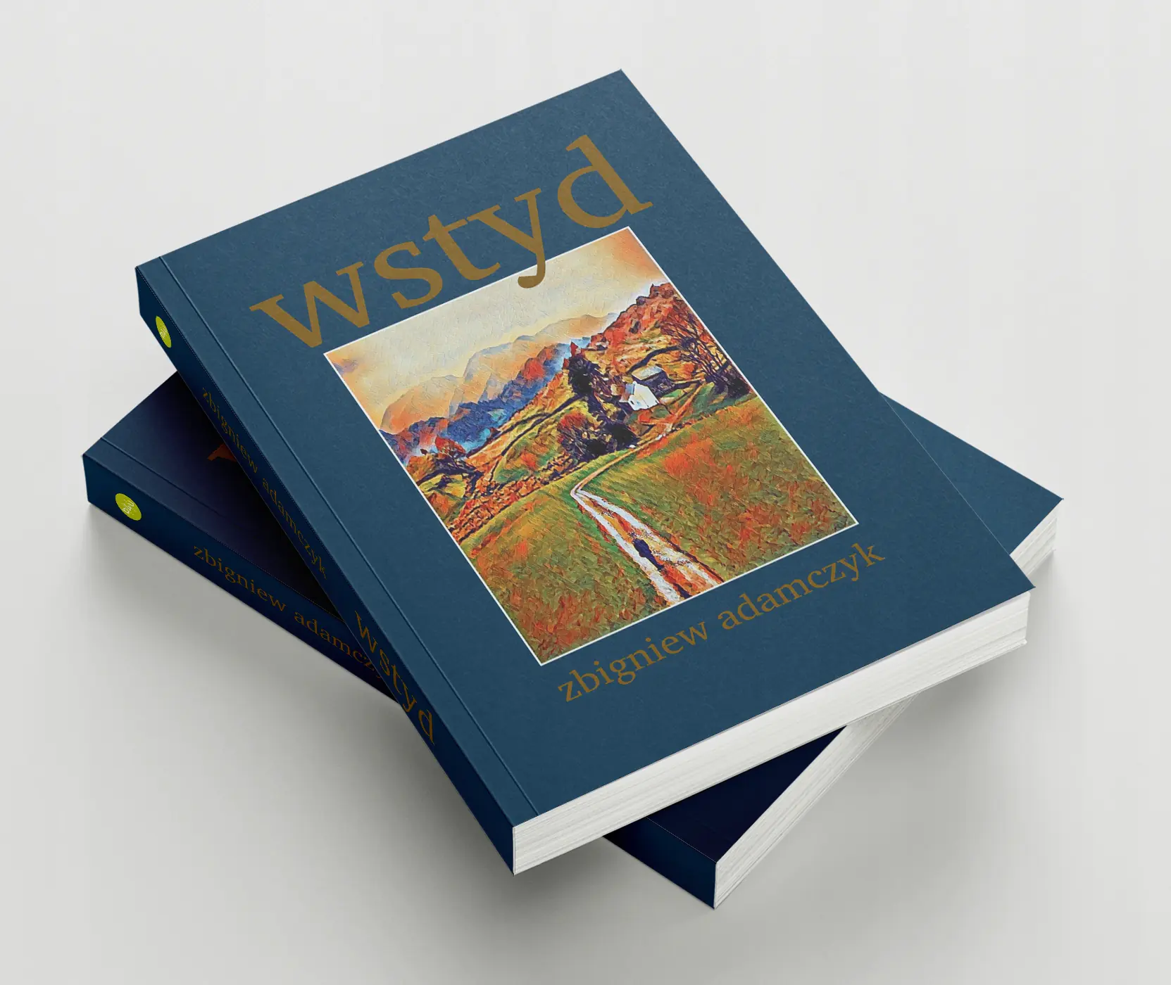 Książka - Wstyd