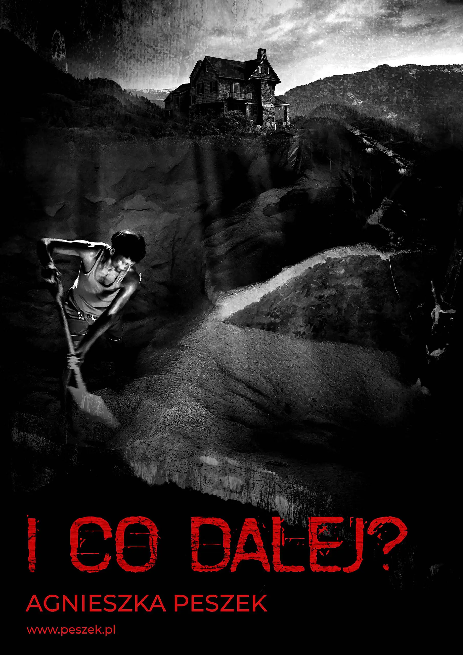 Książka - I co dalej?