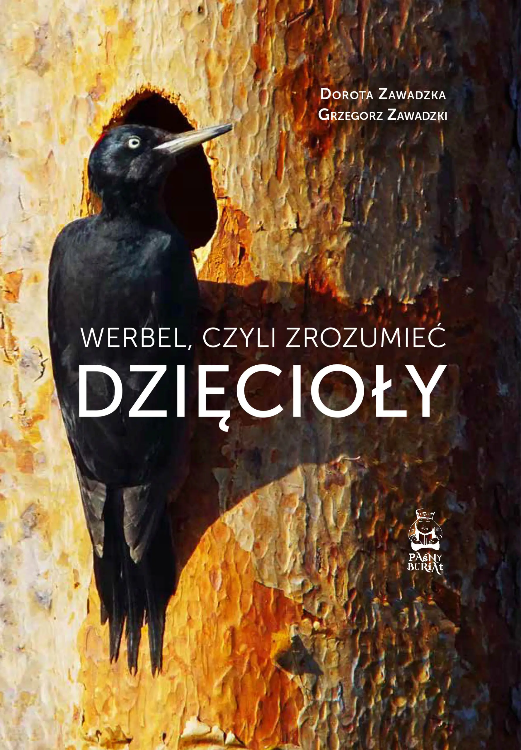 Książka - Werbel, czyli zrozumieć dzięcioły