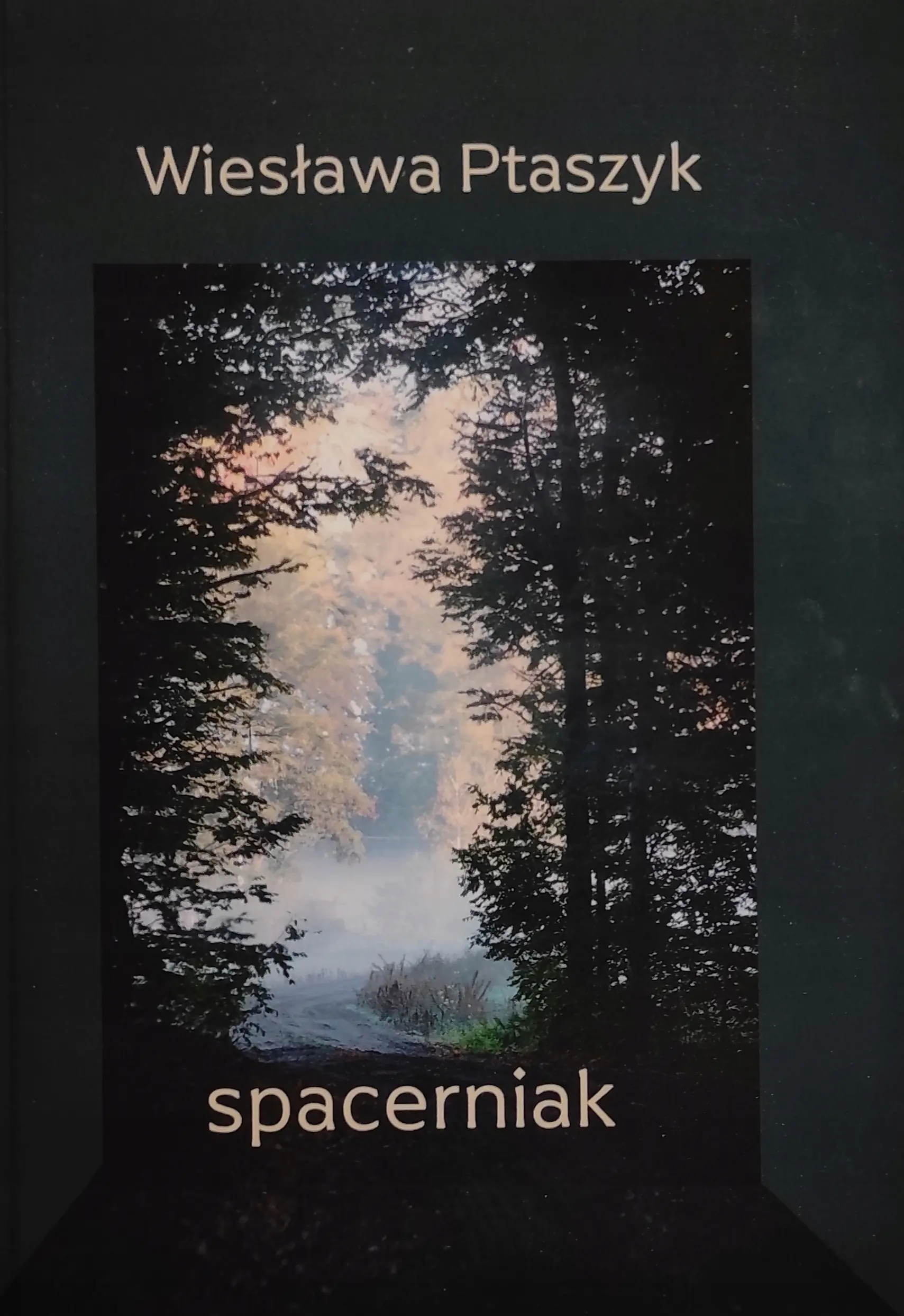 Książka - Spacerniak