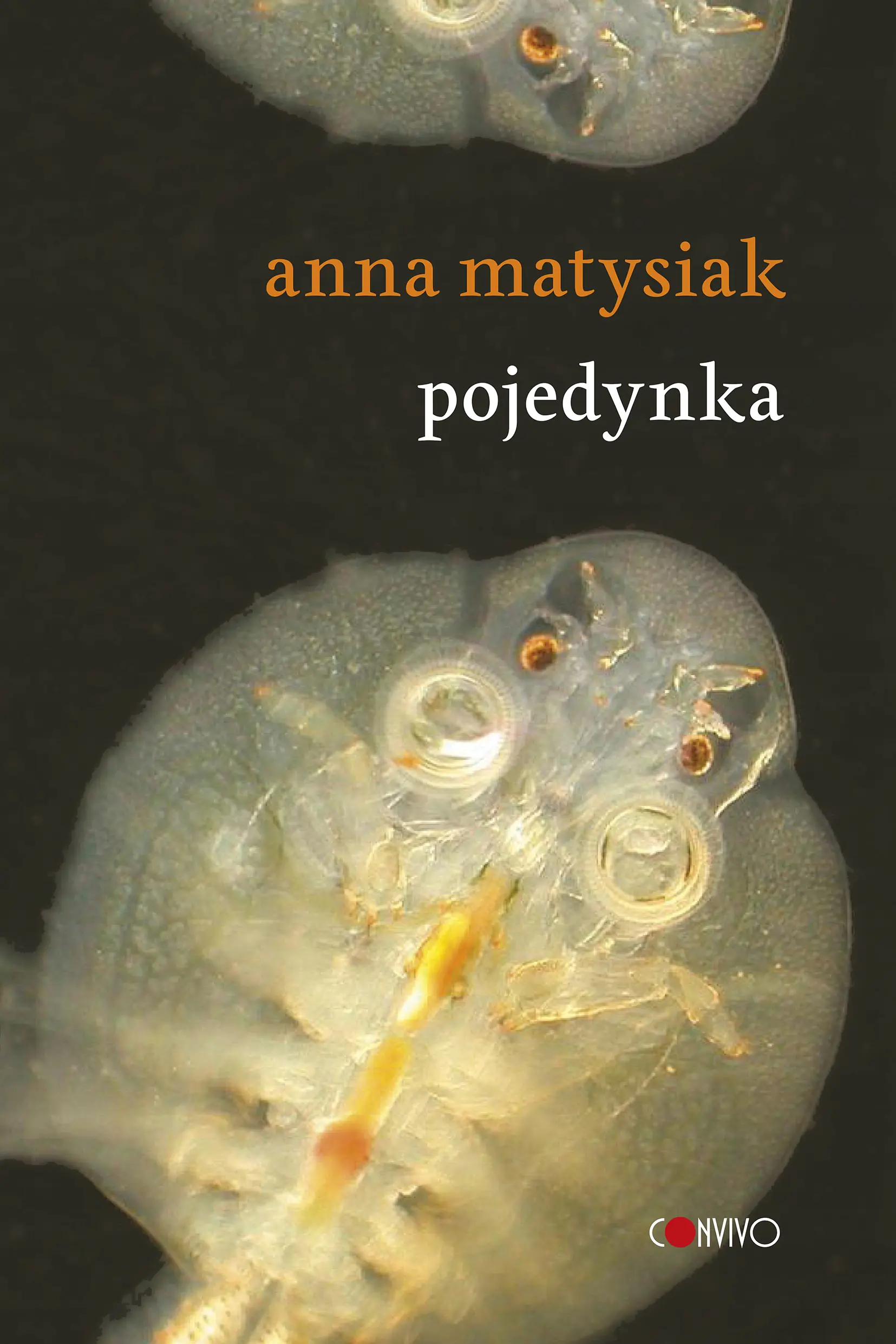 Książka - Pojedynka