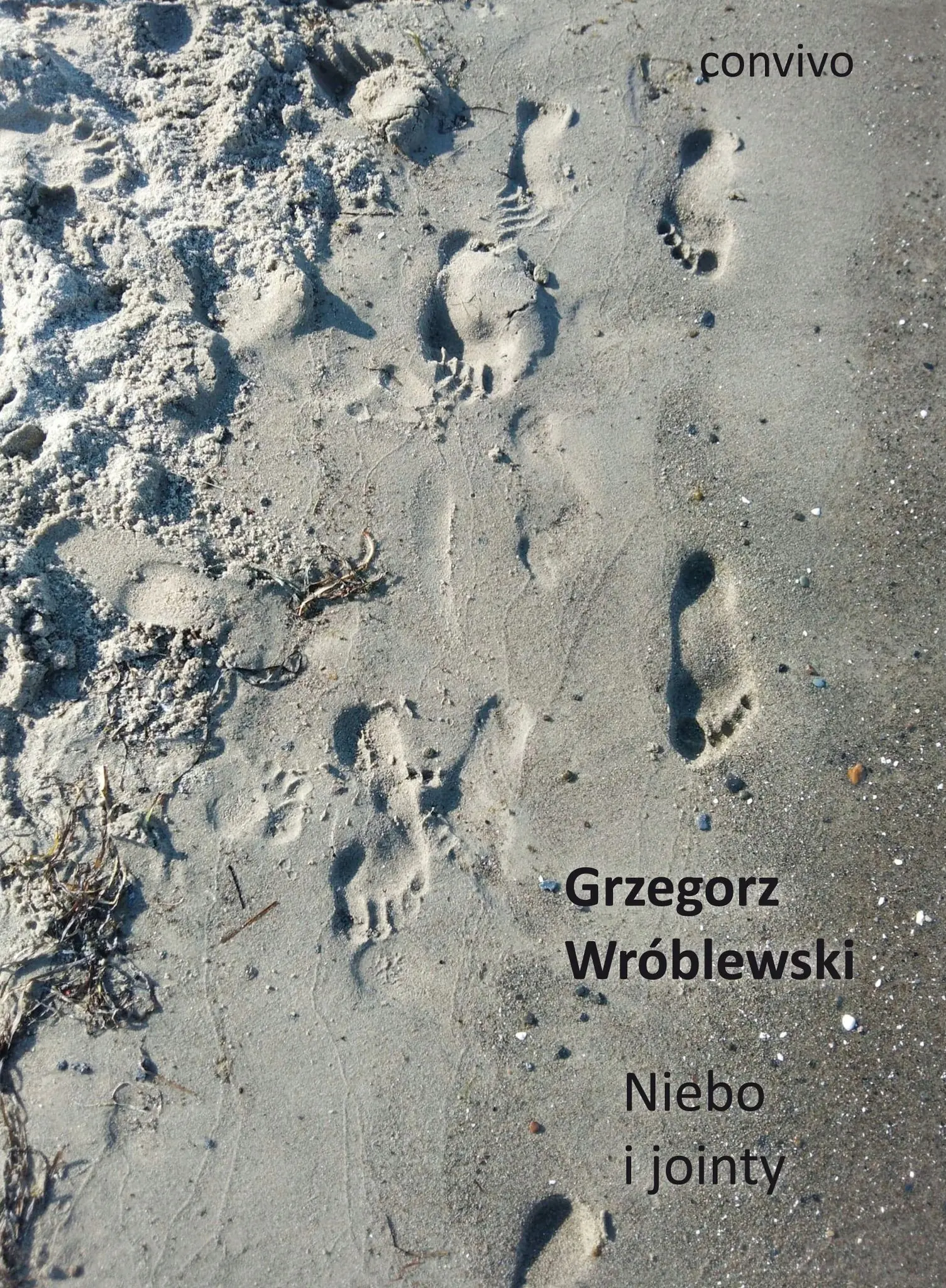 Książka - Niebo i jointy