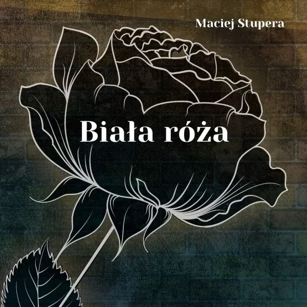 Książka - Biała róża
