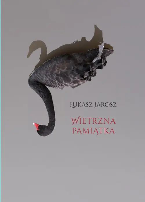 Książka - Wietrzna pamiątka