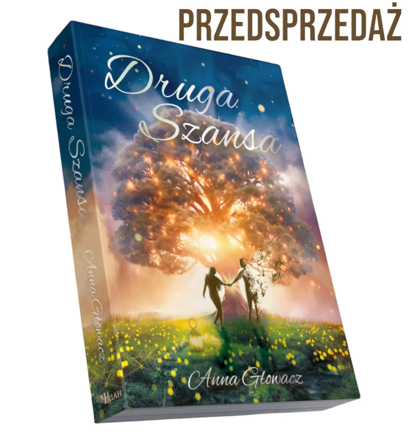 Książka - Druga Szansa - Anna Głowacz