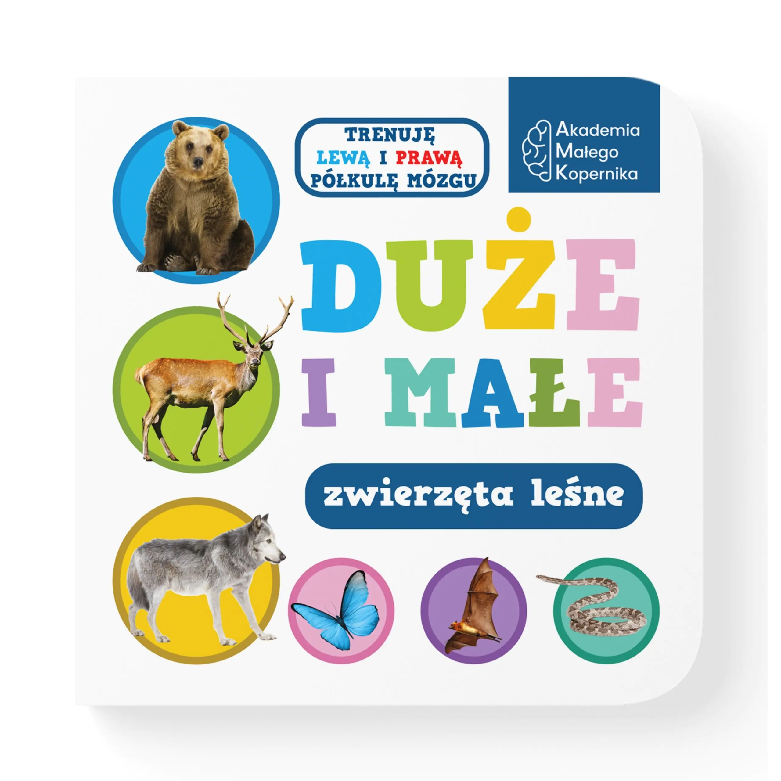 Książka - Duże i małe zwierzęta leśne