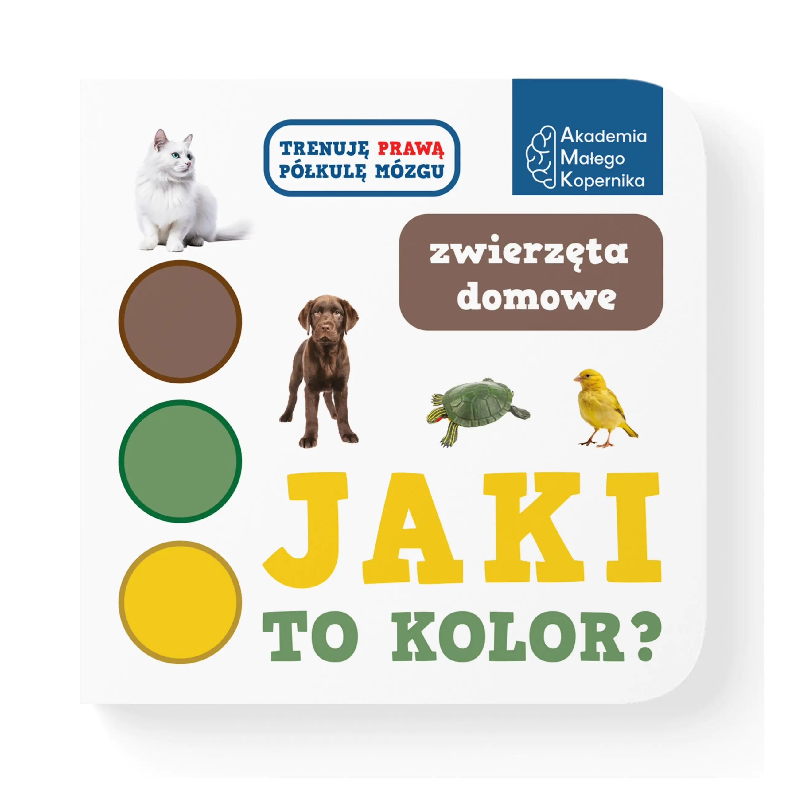 Książka - Jaki to kolor? Zwierzęta domowe / Akademia Małego Kopernika