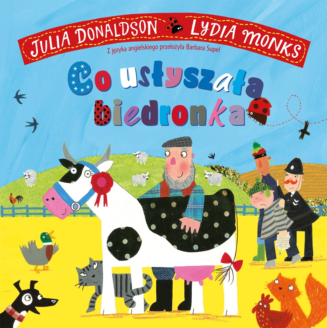 Książka - Co usłyszała biedronka