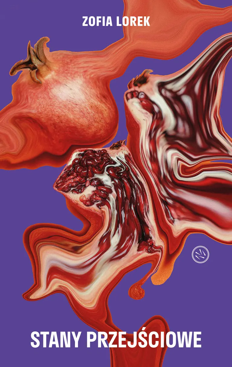 Książka - Stany przejściowe