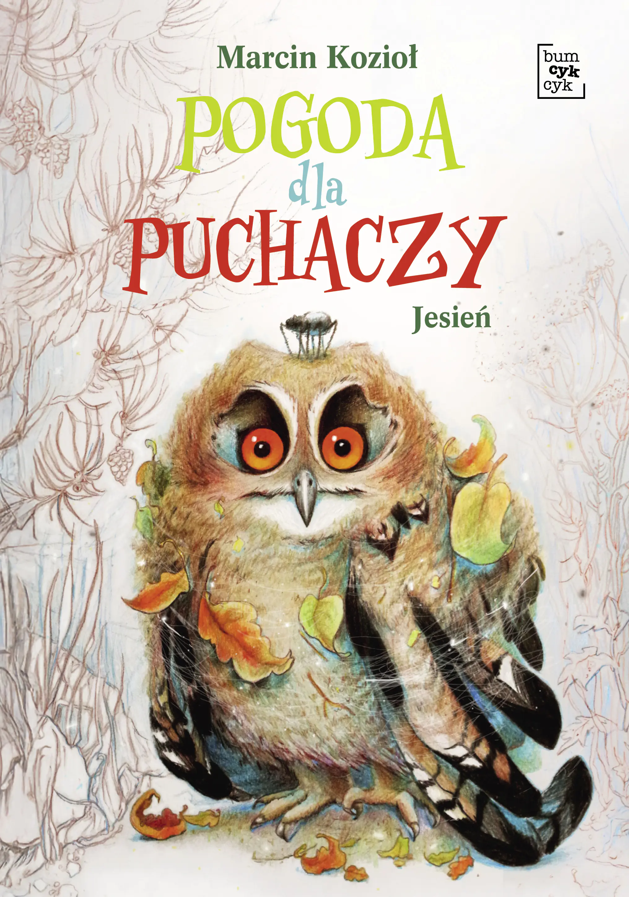 Książka - Pogoda dla puchaczy. Jesień