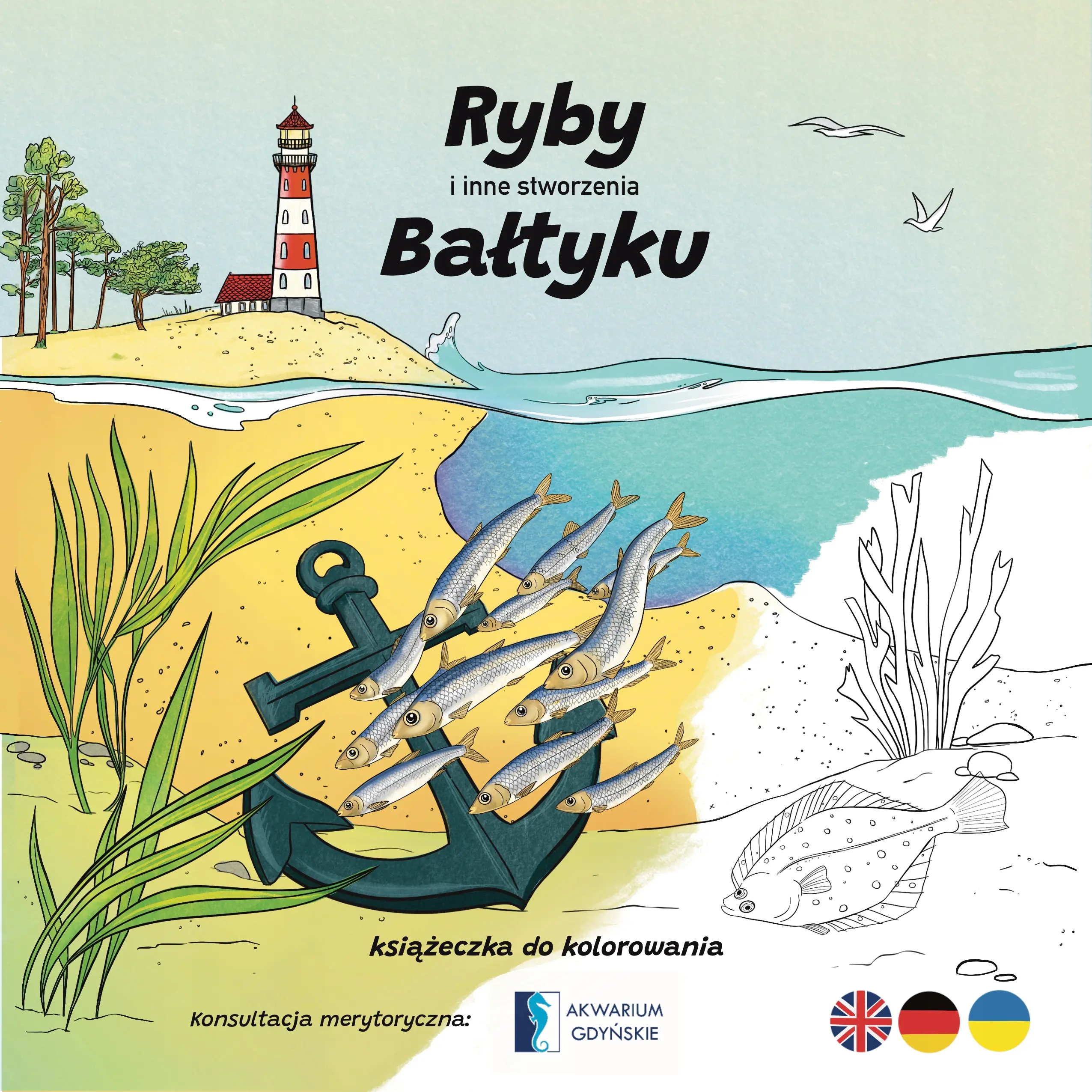 Książka - Ryby i inne stworzenia Bałtyku