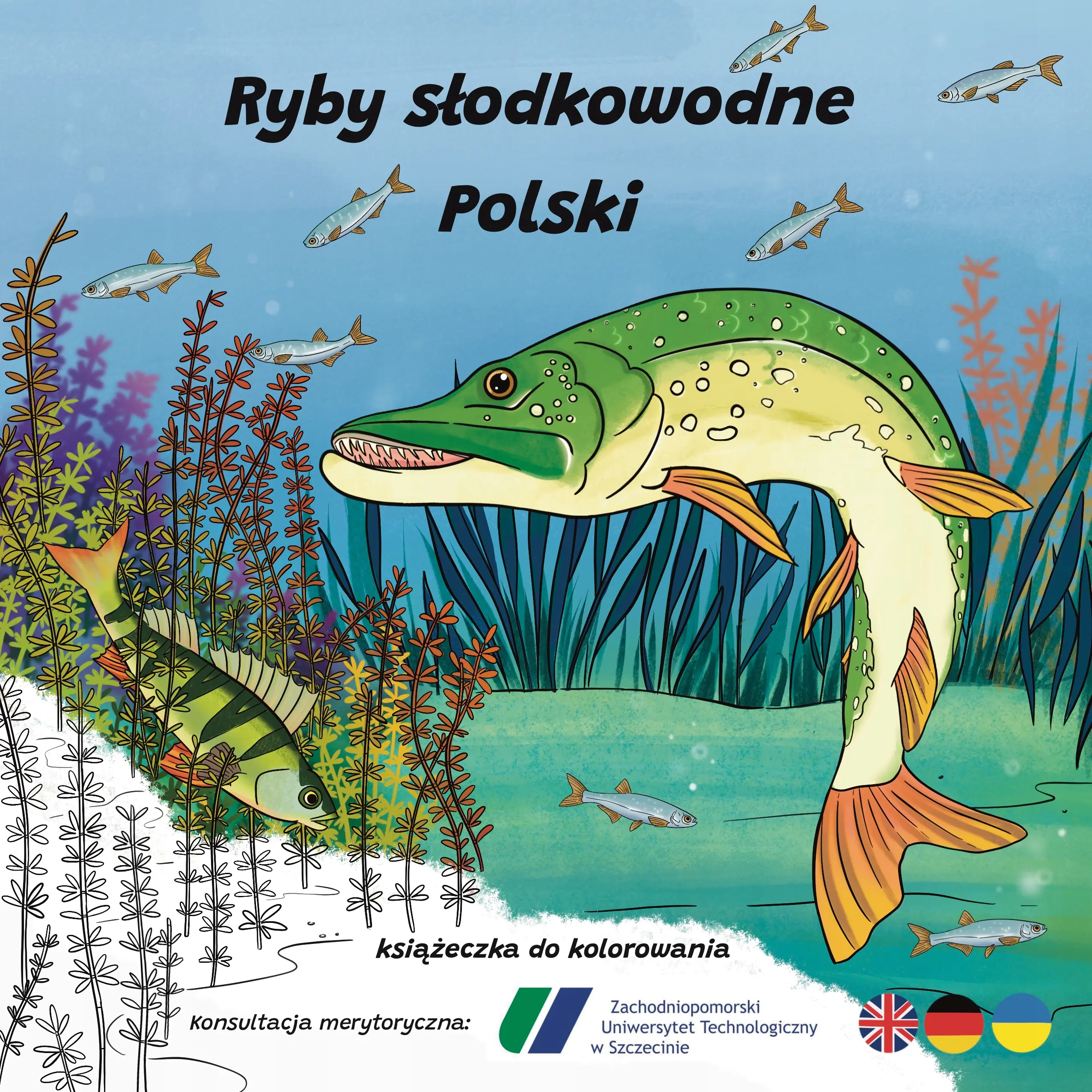 Książka - Ryby słodkowodne w Polsce