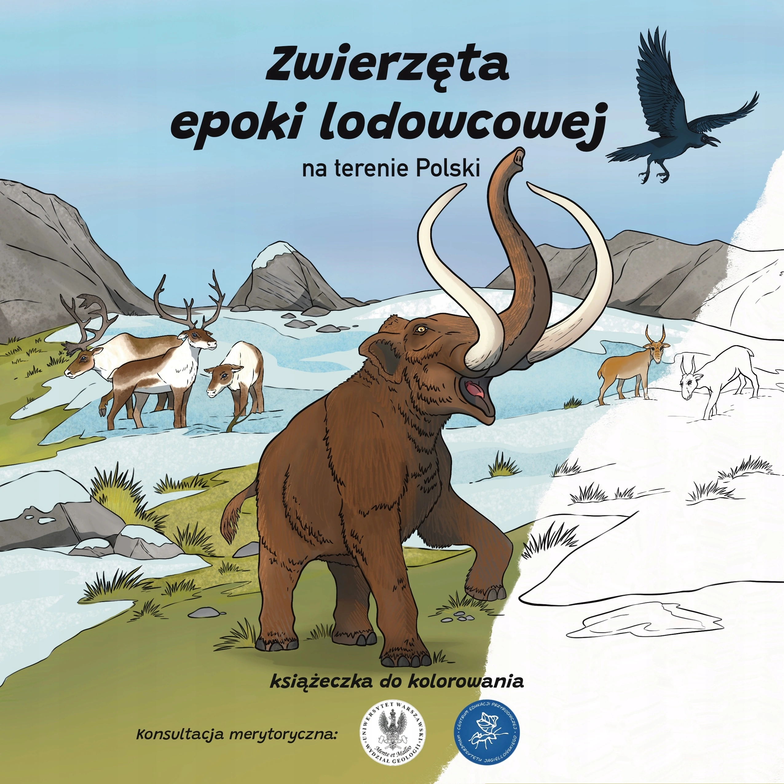 Książka - Zwierzęta epoki lodowcowej na terenie Polski