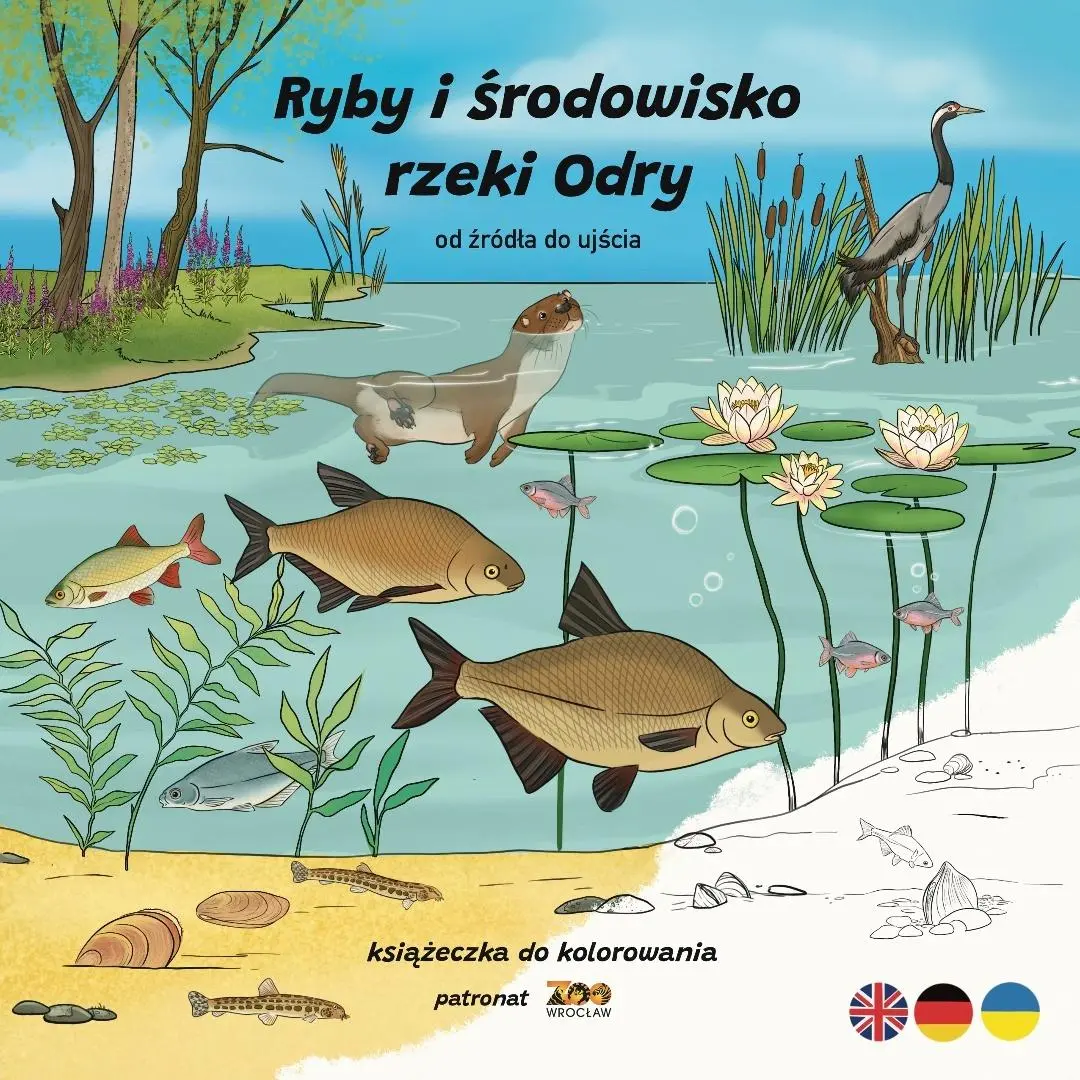 Książka - Ryby i środowisko rzeki Odry. Od źródła do ujścia