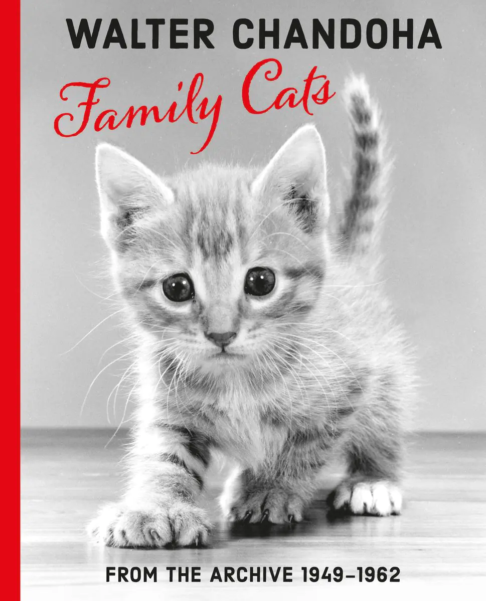 Książka - Family Cats. From the Archive 1949-1962