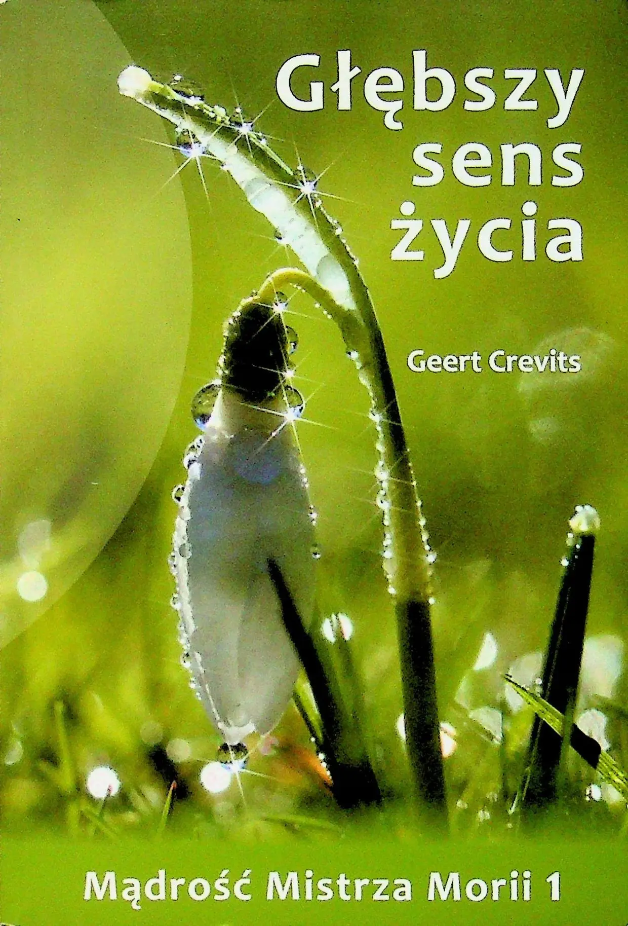 Książka - Głębszy sens życia
