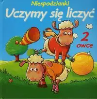 Książka - Niespodzianki. Uczymy sie liczyć