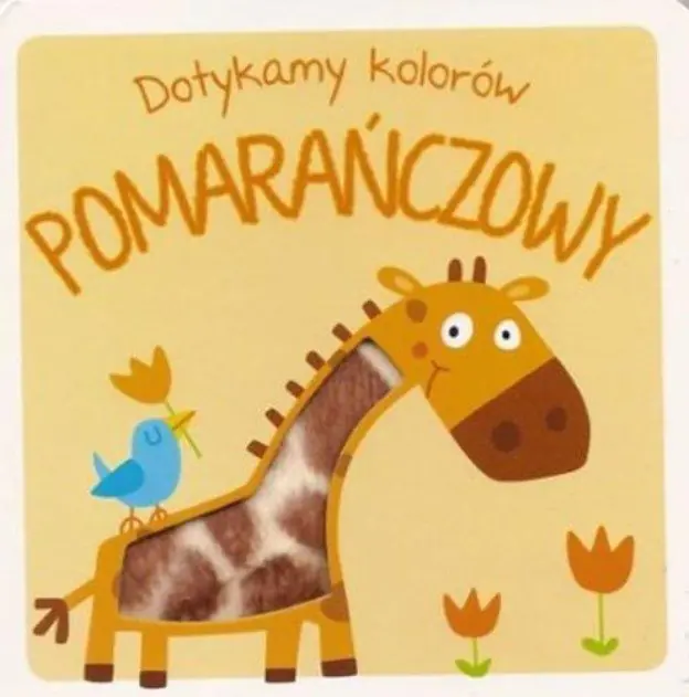 Książka - Dotykamy kolorów. Pomarańczowy