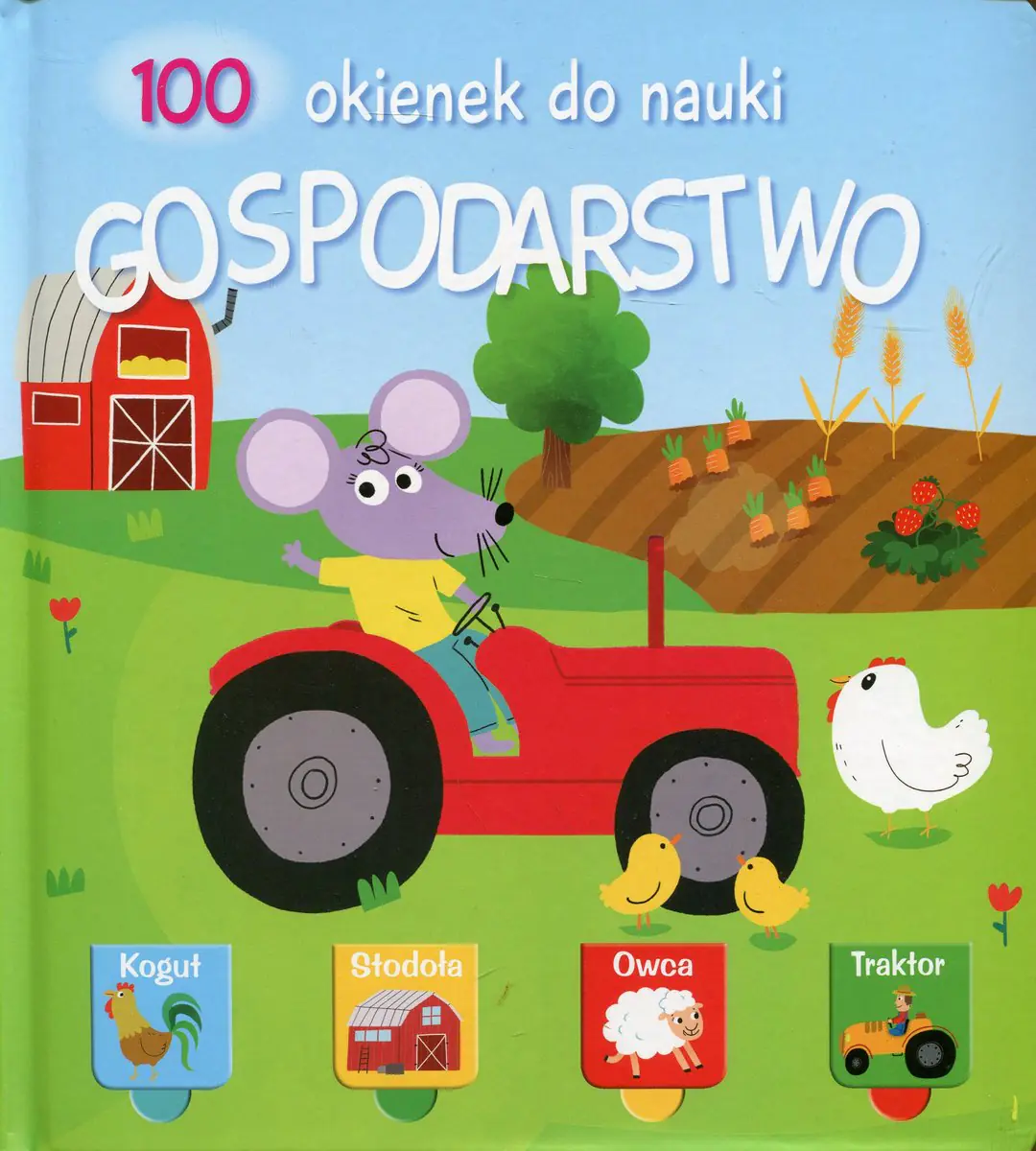 Książka - Gospodarstwo. 100 okienek do nauki