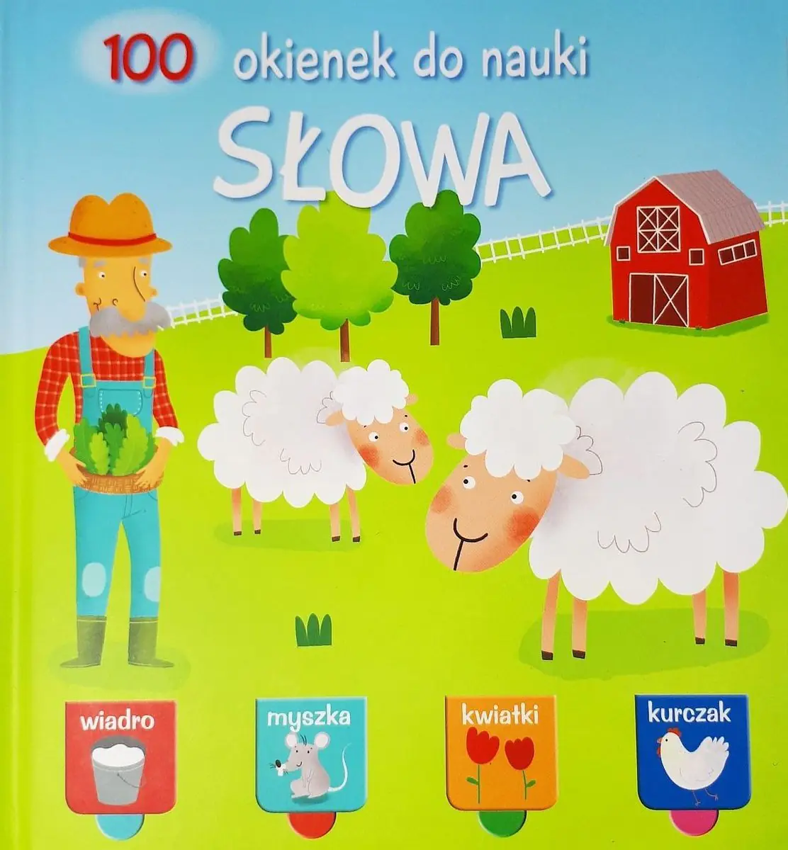 Książka - Słowa. 100 okienek do nauki