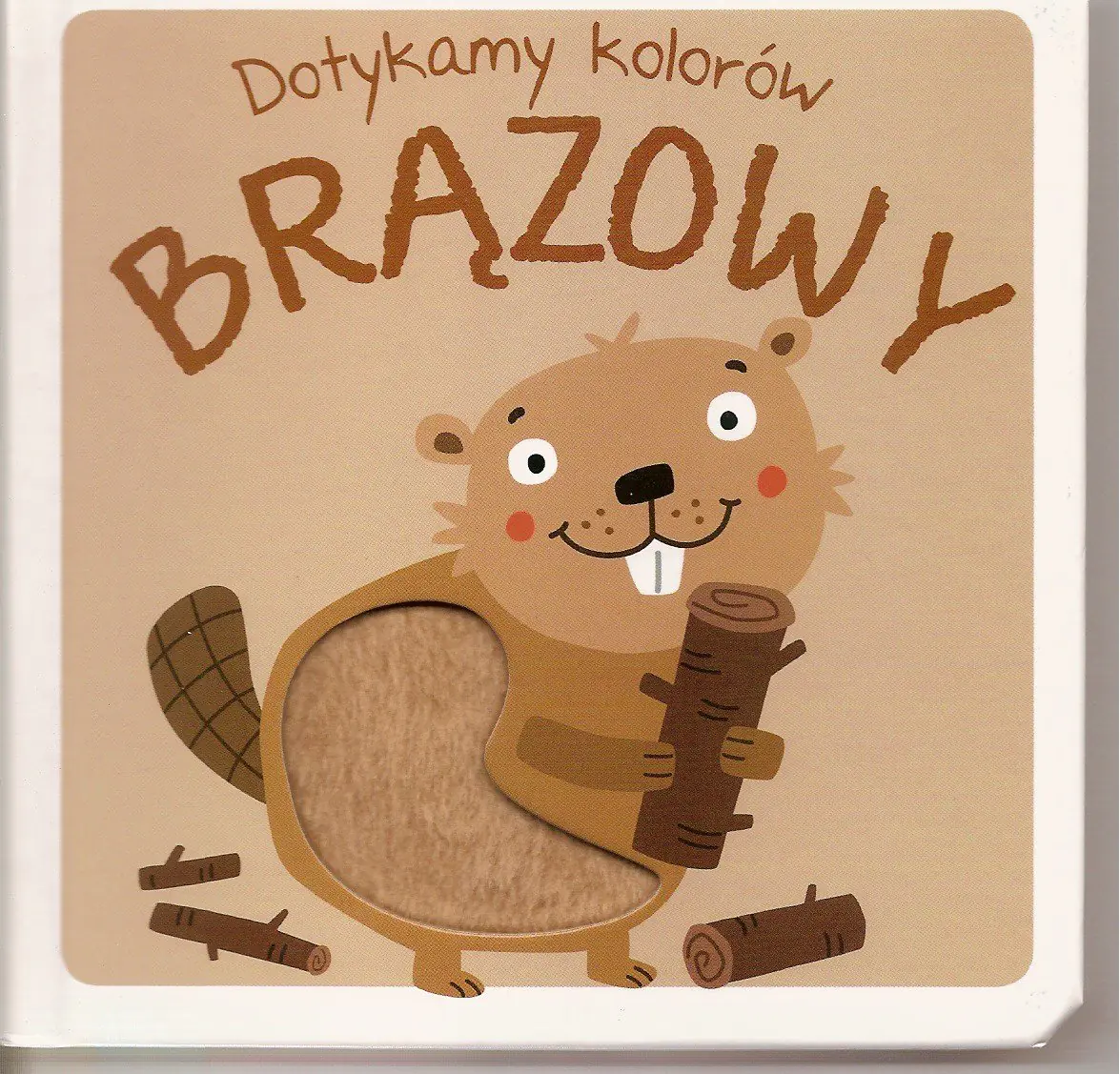 Książka - Dotykamy kolorów. Brązowy