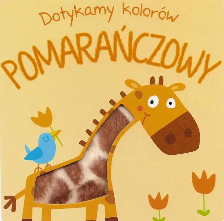 Książka - Pomarańczowy. Dotykamy kolorów