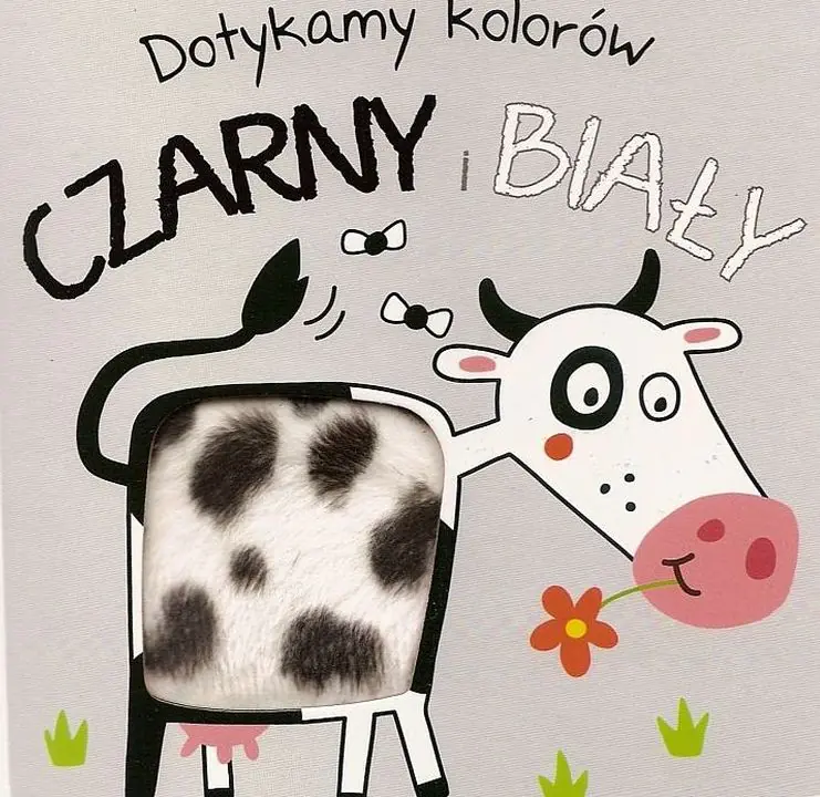 Książka - Czarny i biały. Dotykamy kolorów
