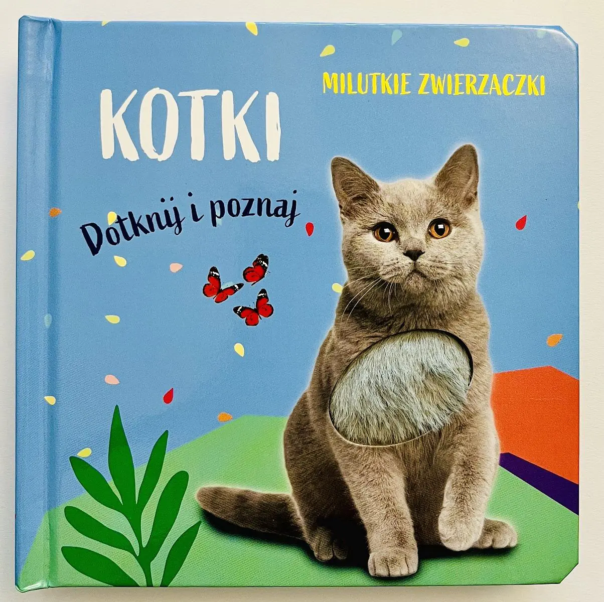 Książka - Kotki. Milutkie zwierzaczki. Dotknij i poznaj