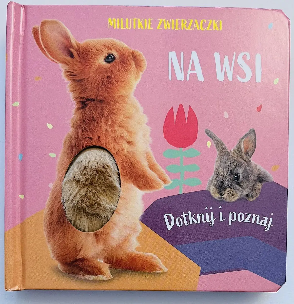 Książka - Na wsi. Milutkie zwierzaczki. Dotknij i poznaj
