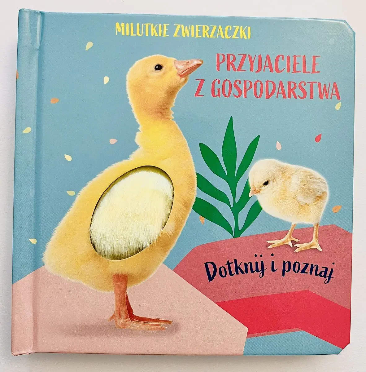 Książka - Przyjaciele z gospodarstwa. Milutkie zwierzaczki. Dotknij i poznaj