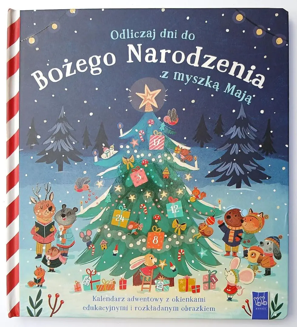 Książka - Odliczaj dni do Bożego Narodzenia z myszką Mają