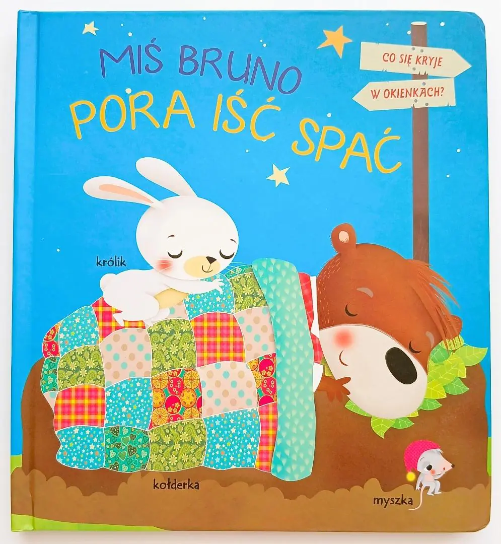 Książka - Pora iść spać. Miś Bruno