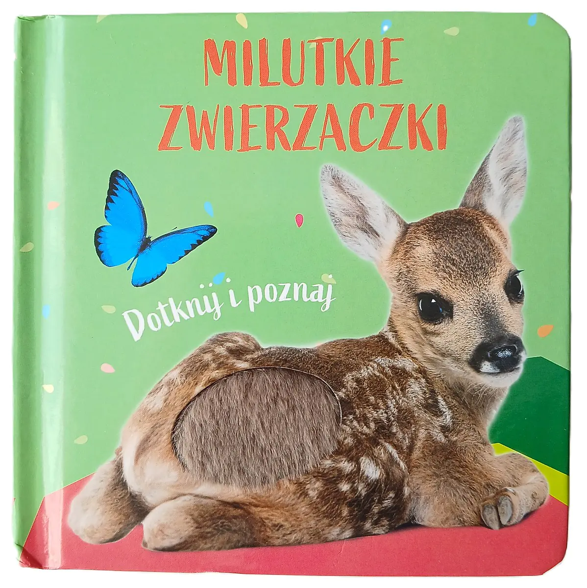 Książka - Sarenka. Milutkie zwierzaczki. Dotknij i poznaj